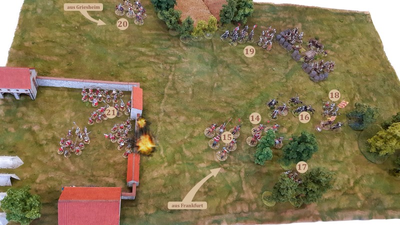 Lion_Rampant_Rebstock_02.jpg