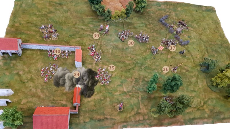 Lion_Rampant_Rebstock_05.jpg